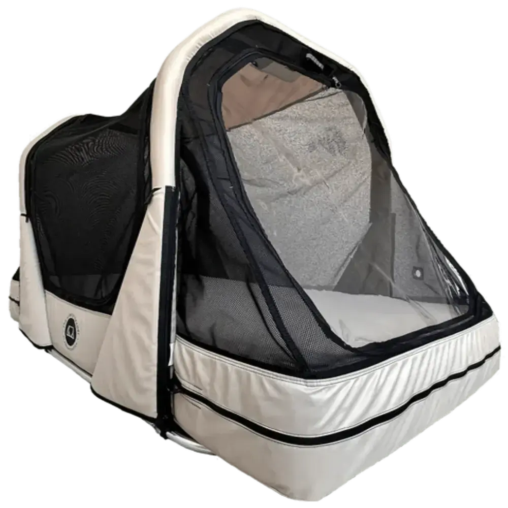 Portable pet carrier with mesh windows for ventilation and comfort