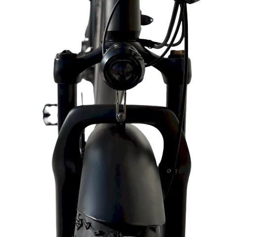 EMS TB750 Tandem Bicycle with LED headlight for enhanced night visibility.