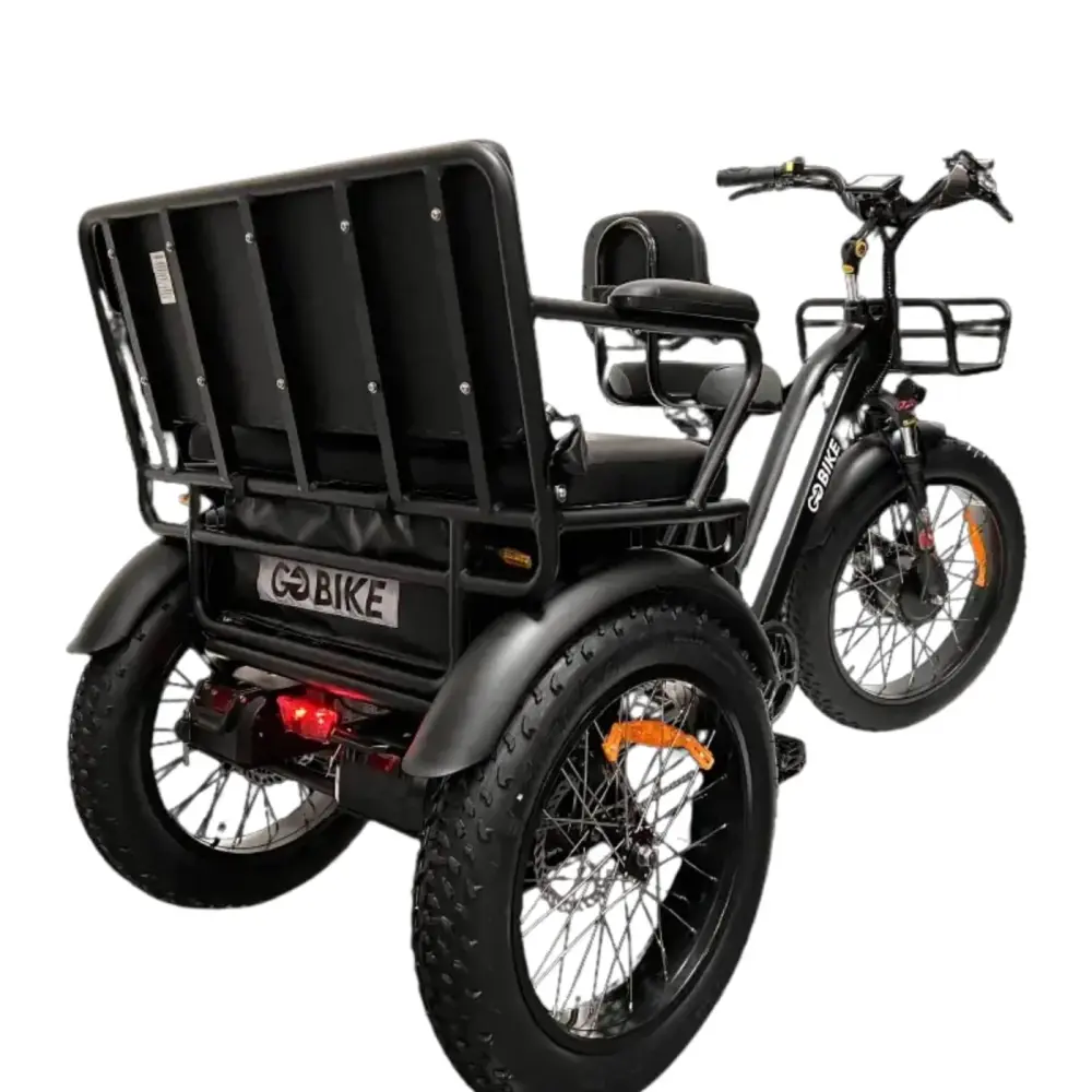GOBike-FORTE with rear seat