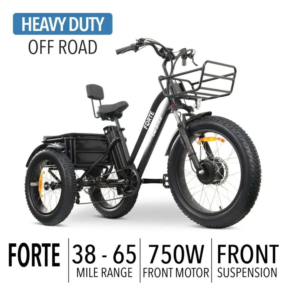 FORTE Electric Tricycle