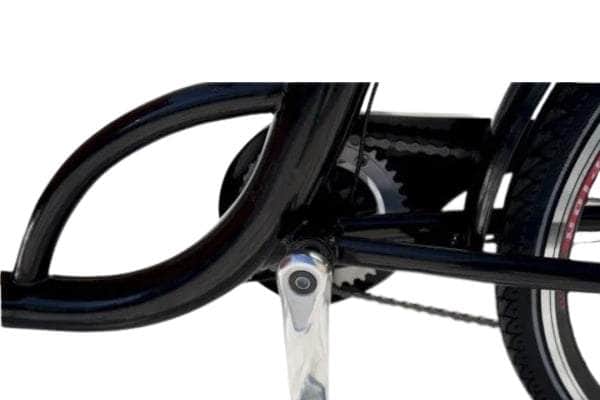 Close-up of the DAPU display showing five levels of pedal assist on the Mobility Star Classic Electric Dutch Cargo Tricycle.