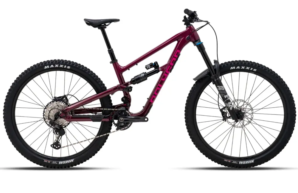 Polygon Collosus N9 - Enduro Mountain Bike in S | Dignity Mobility