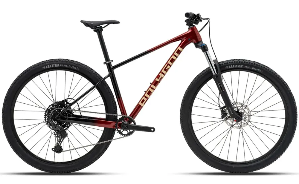 Polygon Xtrada 5 - Mountain Bike in S | Dignity Mobility