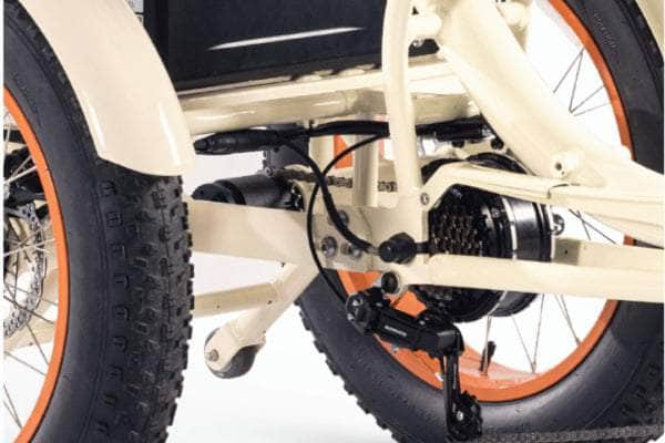 Big Motor On Simple Glide 750 W Trike