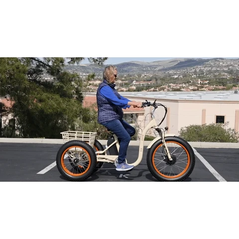 Simple_Step_Thru_FAT_Tire_Elderly